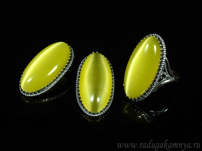 Ring Earrings with cat's eye, olive blossom size 20